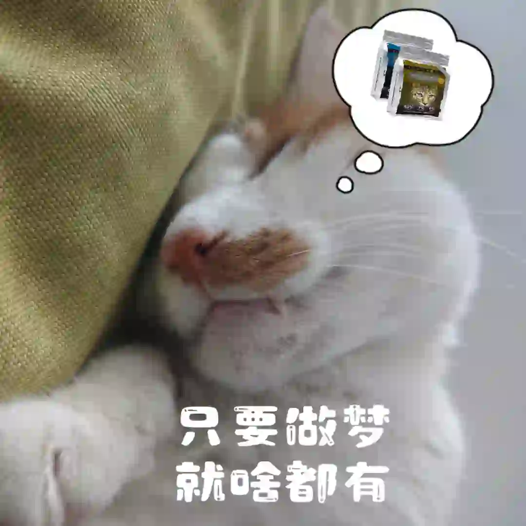 表情包还得看看我家小猫咪