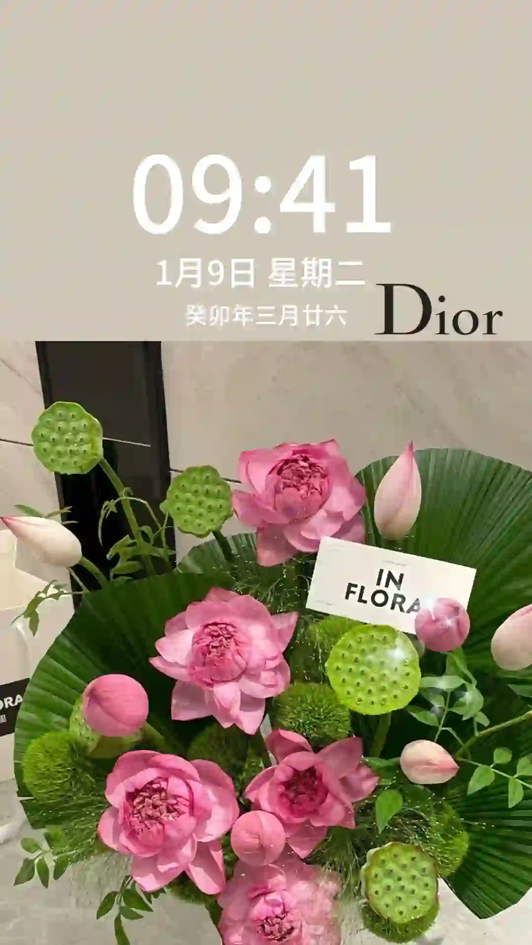 好运莲莲Dior手机壁纸