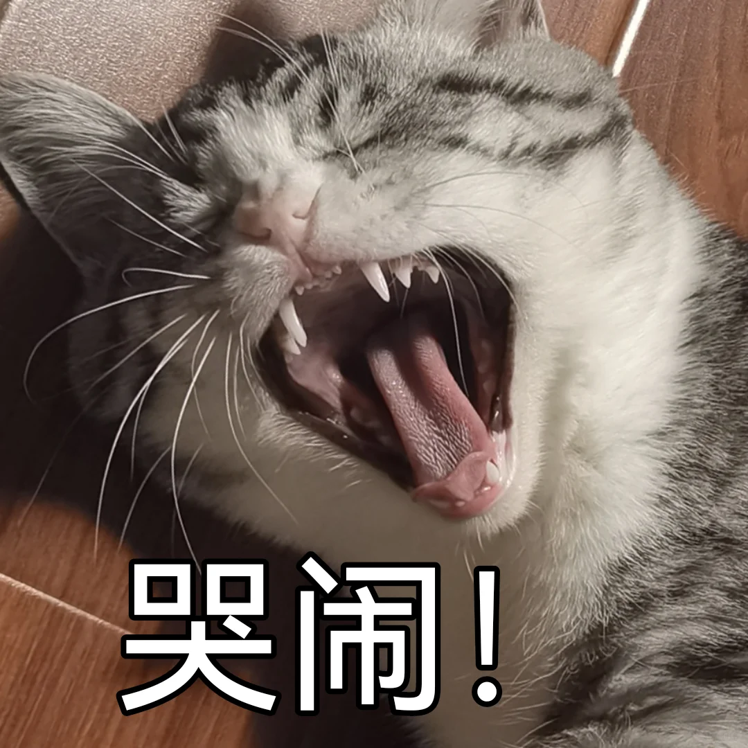 一些小猫咪的表情包