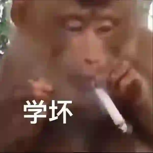 好玩的表情包