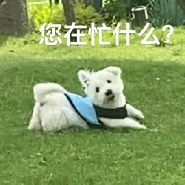 来自万万的一些表情包