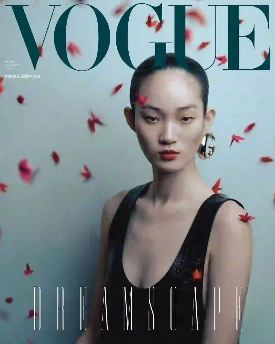 Vogue 超过5张的亚洲模特 Hyunji Shin