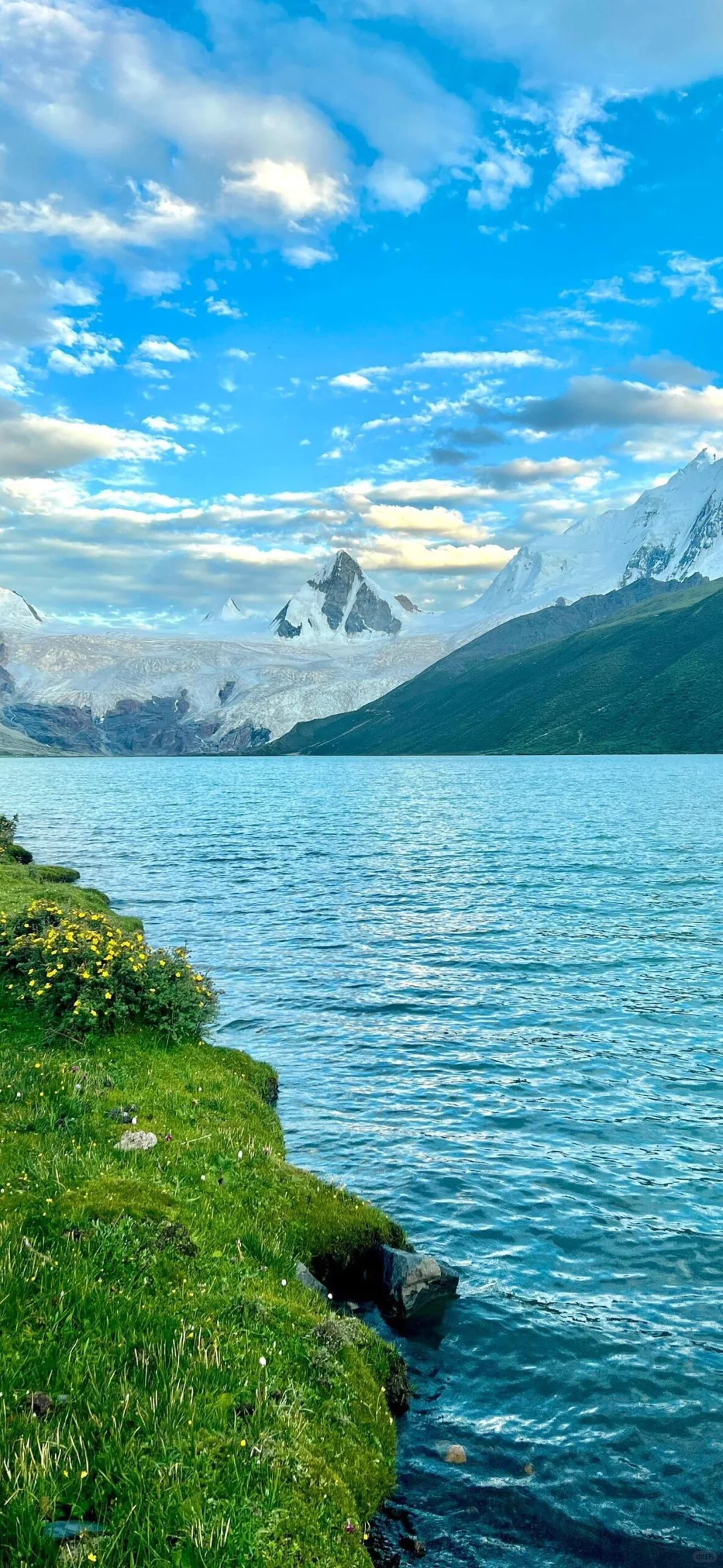 手机壁纸｜夏日风景?