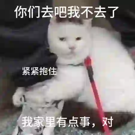 社恐猫猫表情包