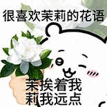 超多chiikawa表情包