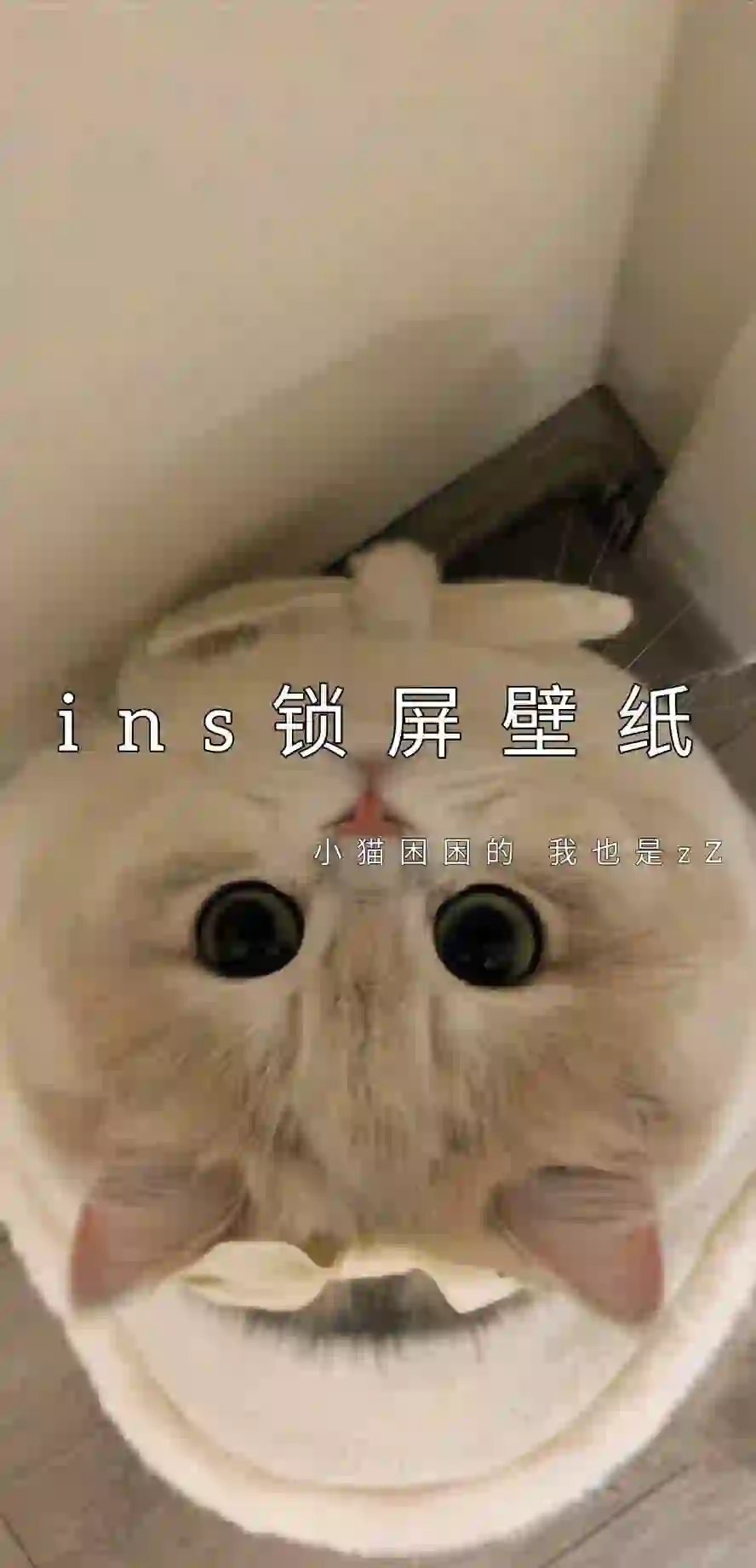 ins壁纸来喽