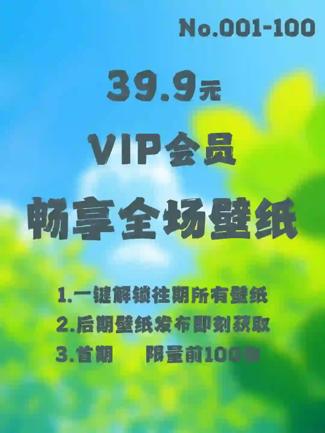 VIP会员 ｜ 畅享全场壁纸