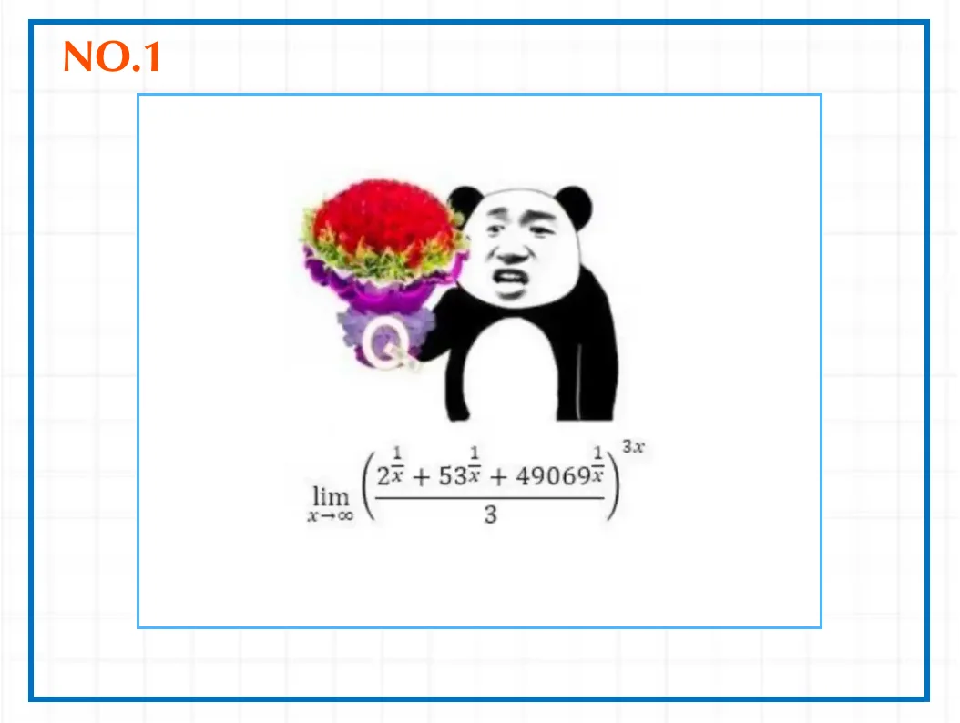 高数学者御用表情包?ง