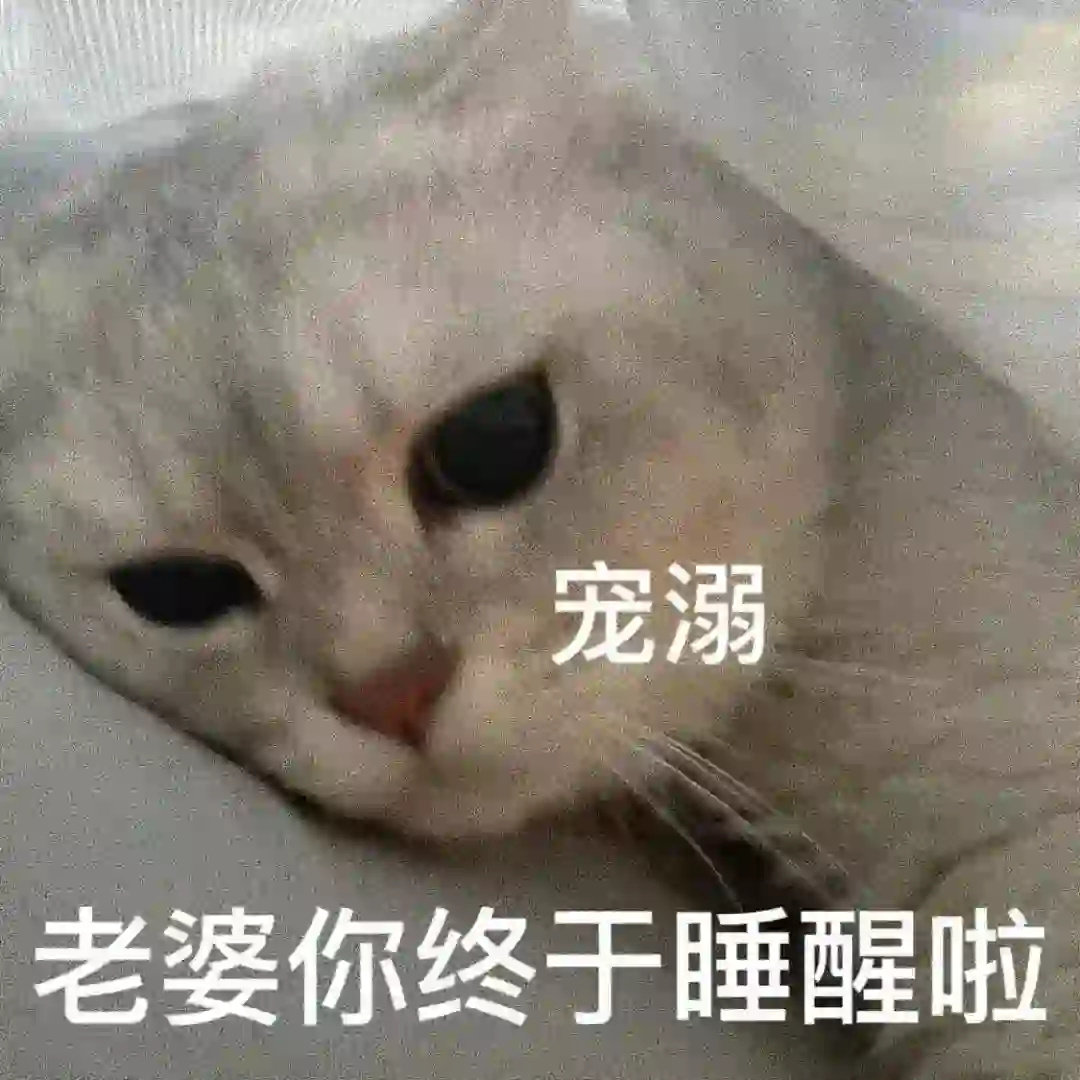 咪咪表情包(四十五)