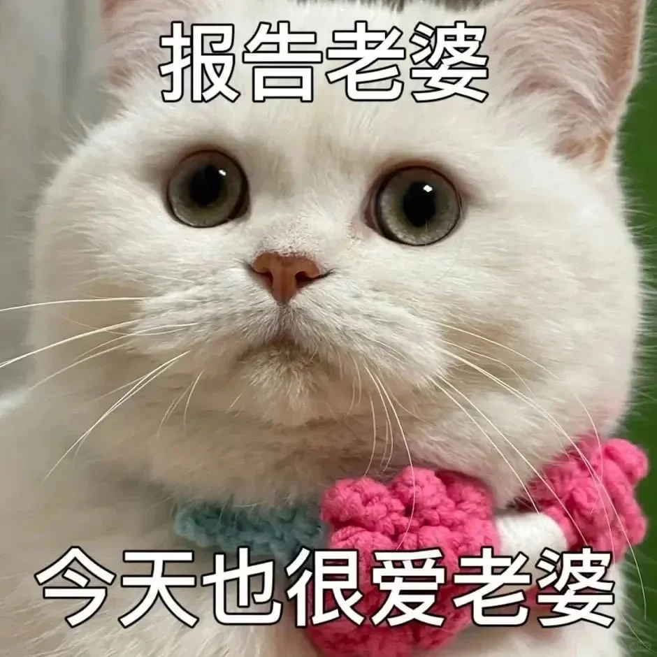 咪咪表情包(四十五)