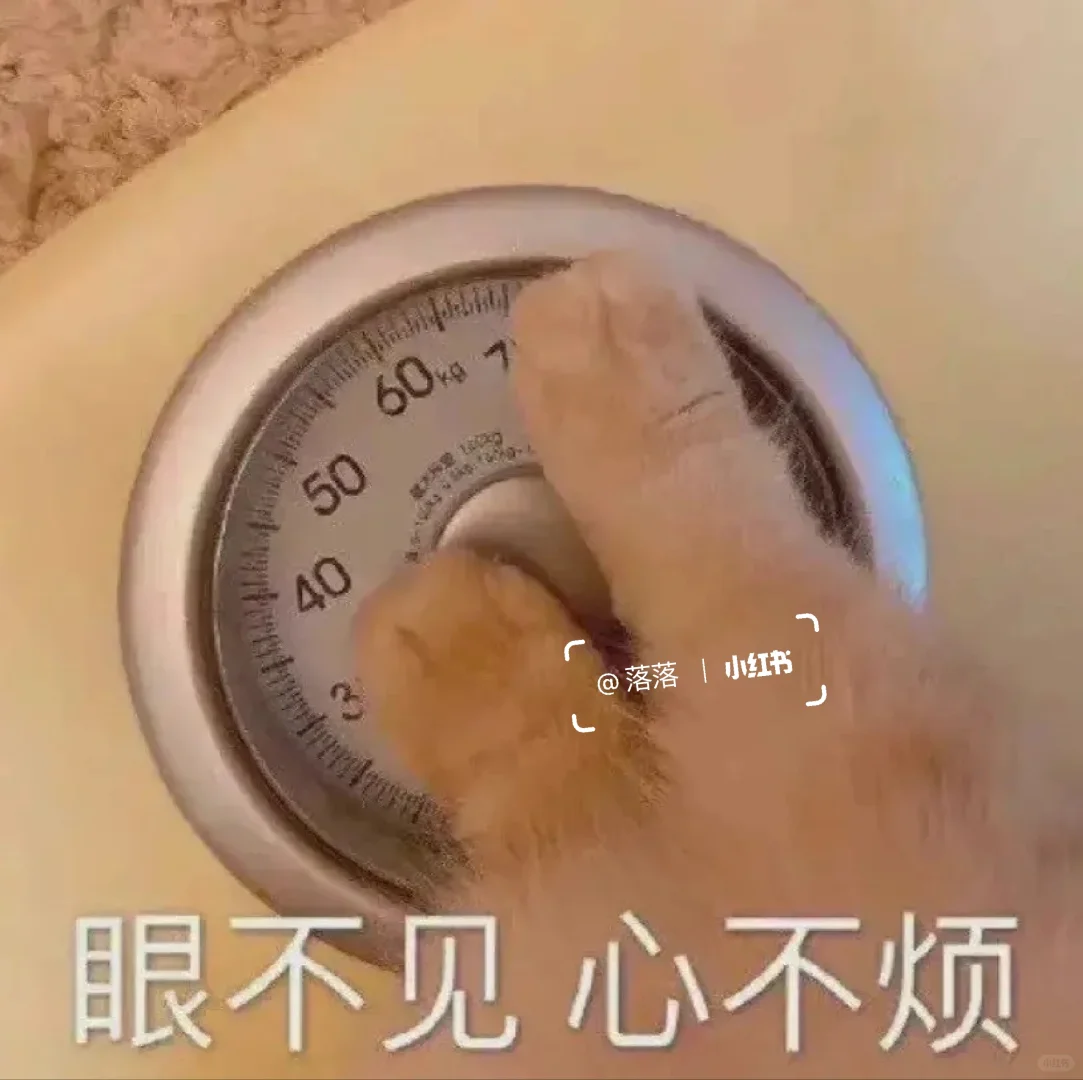 表情包Ⅰ拿去撩你家大猪蹄子??