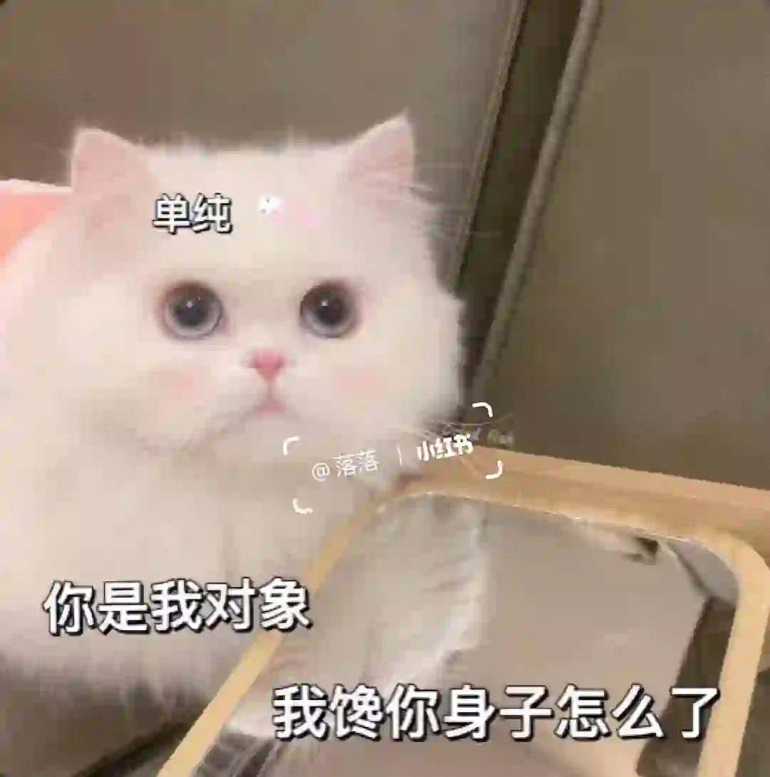 表情包Ⅰ拿去撩你家大猪蹄子??