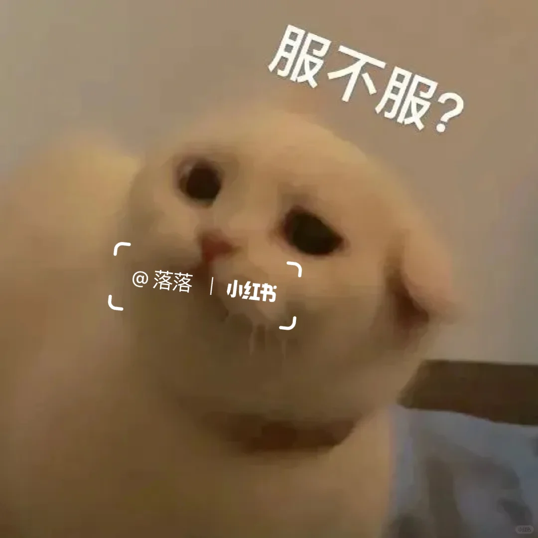 表情包Ⅰ拿去撩你家大猪蹄子??