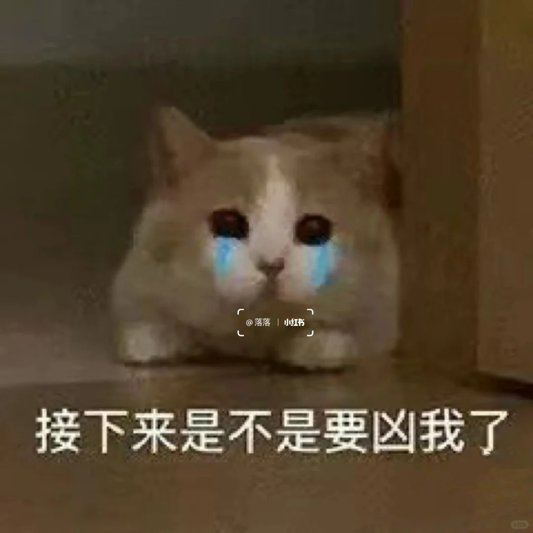 表情包Ⅰ拿去撩你家大猪蹄子??