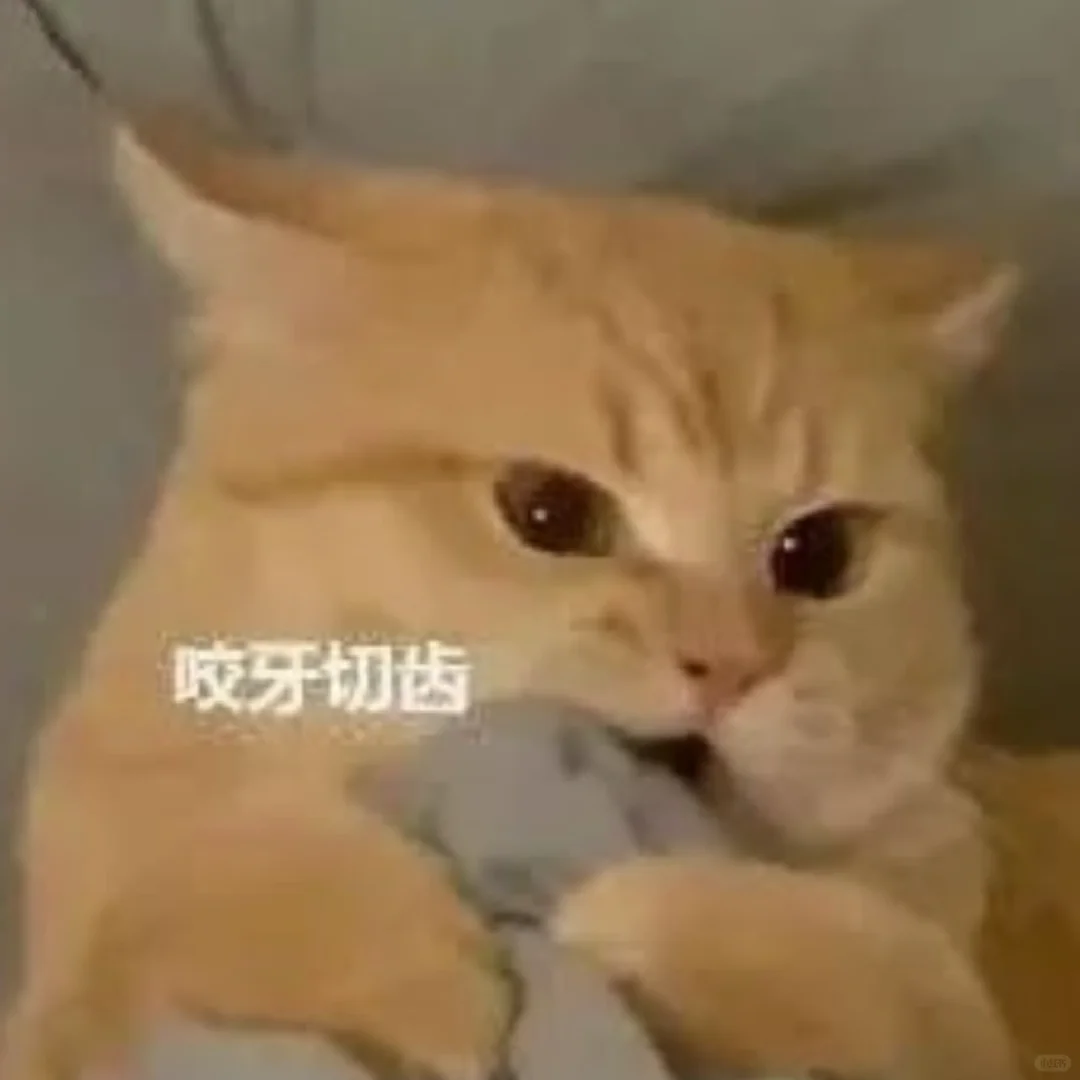 猫猫表情包21｜太有趣啦！