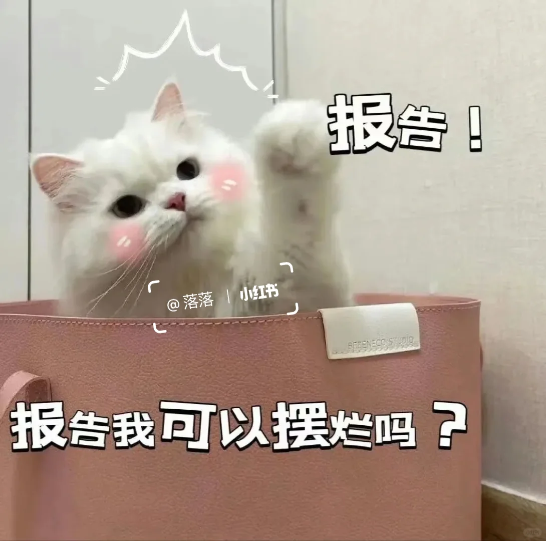 表情包Ⅰ拿去撩你家大猪蹄子??