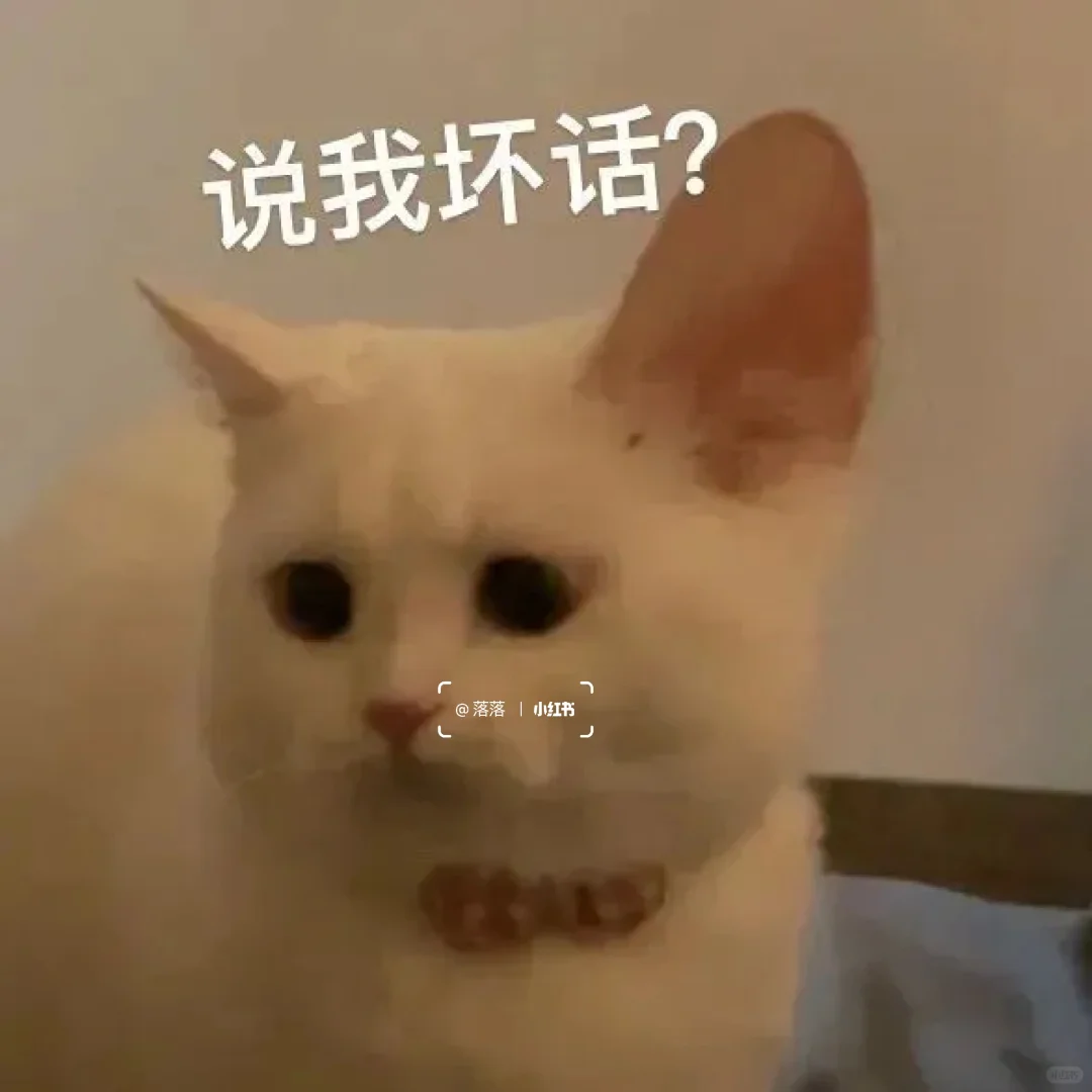 表情包Ⅰ拿去撩你家大猪蹄子??