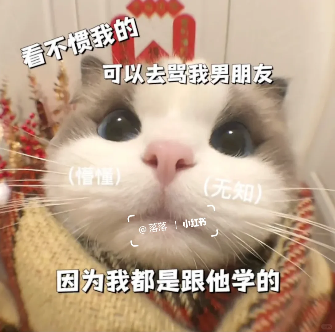 表情包Ⅰ拿去撩你家大猪蹄子??