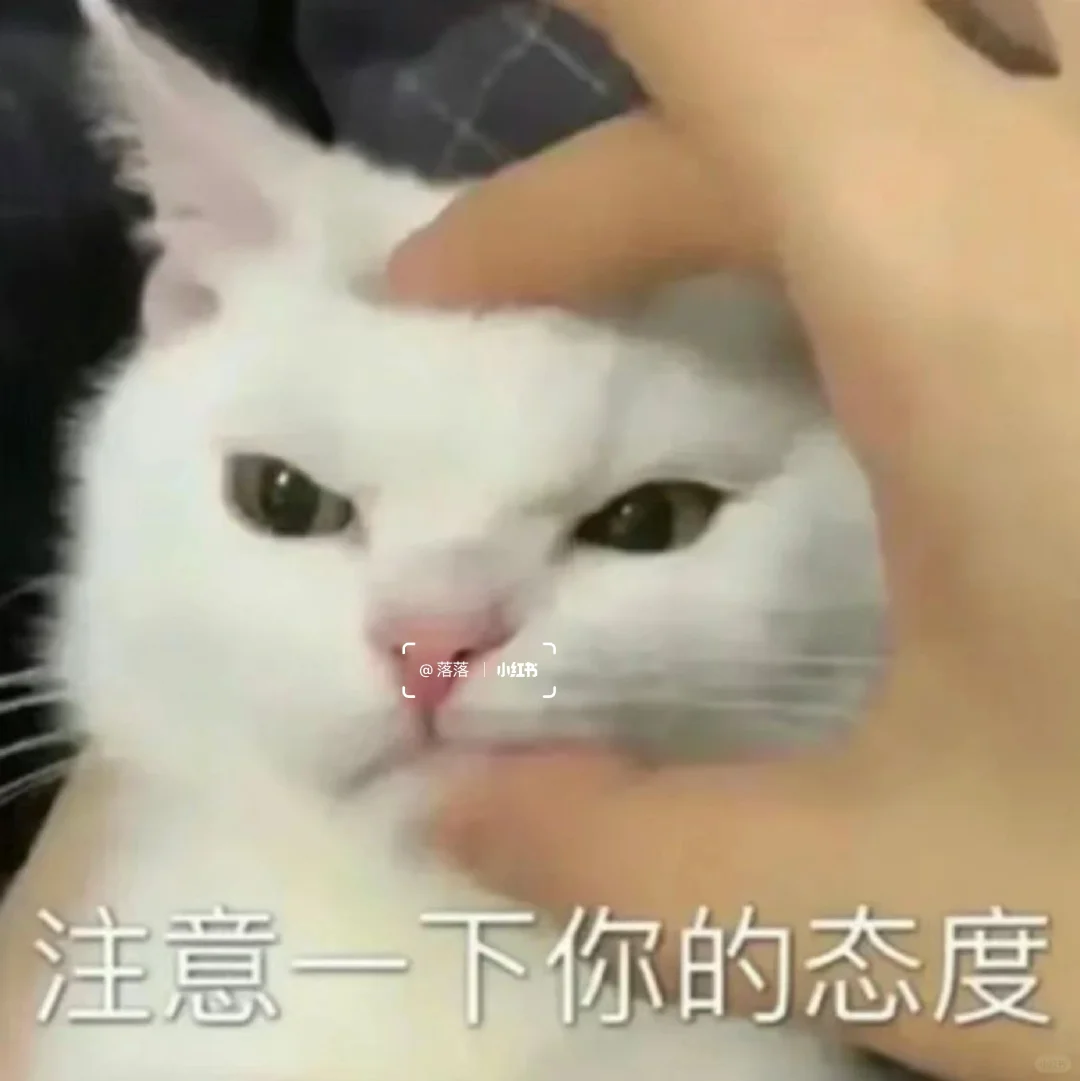 表情包Ⅰ拿去撩你家大猪蹄子??