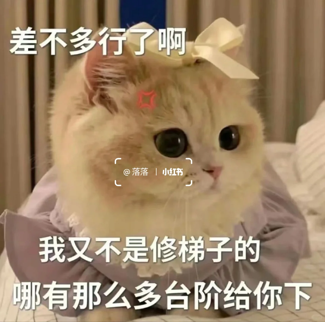 表情包Ⅰ拿去撩你家大猪蹄子??