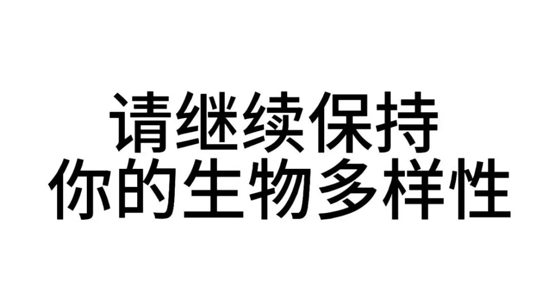 每日表情包分享4