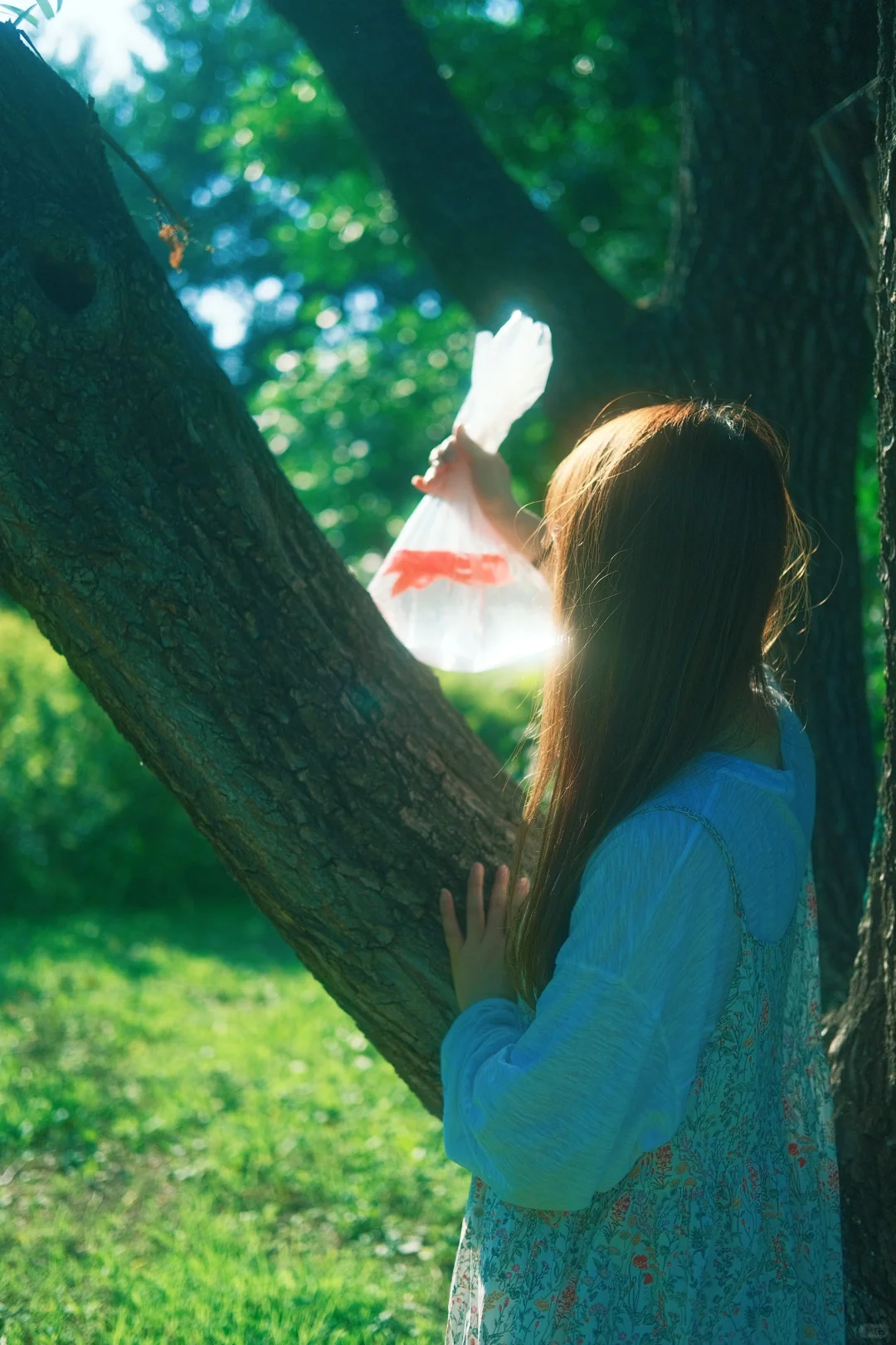 真的很富士！金鱼姬写真好有生命力?