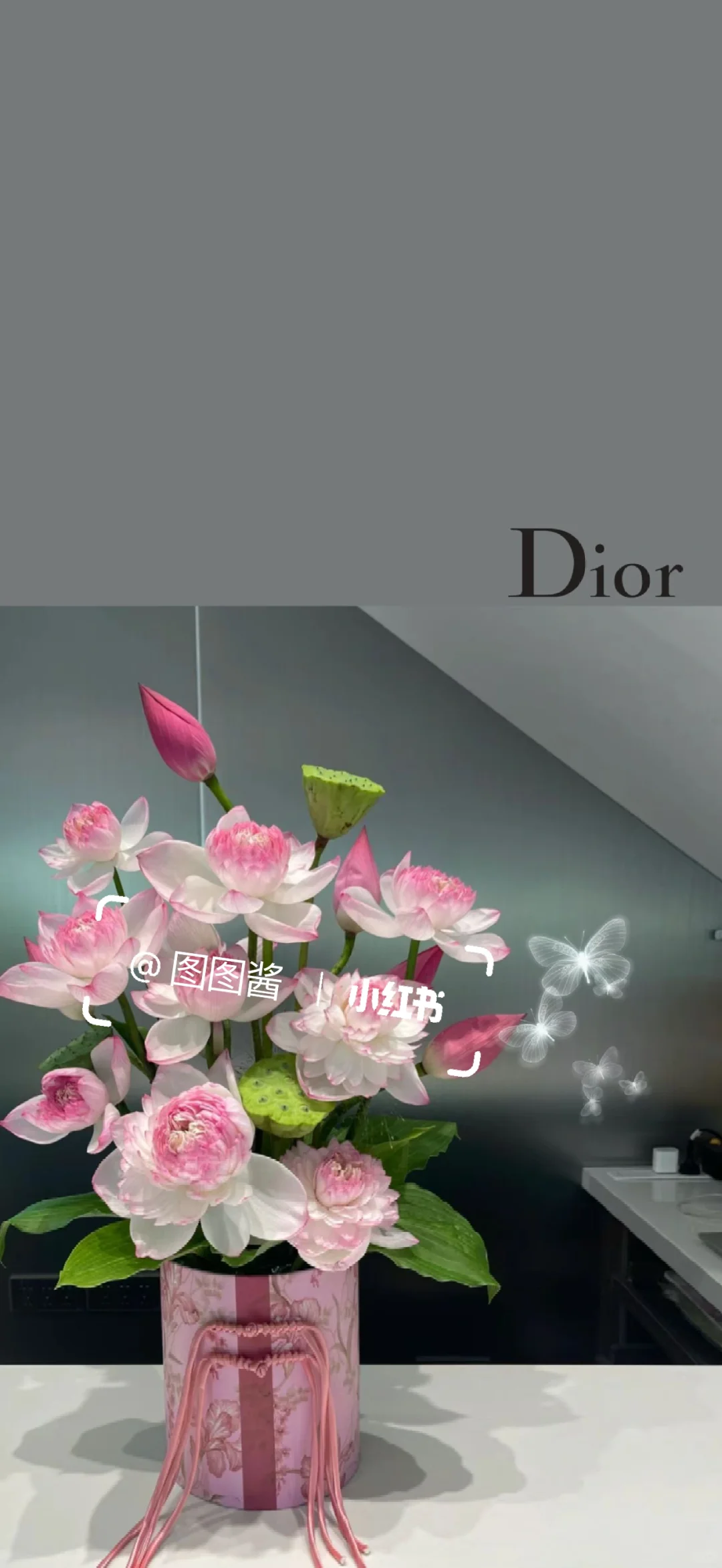 夏日浪漫从荷花开始｜Dior 荷花?手机壁纸