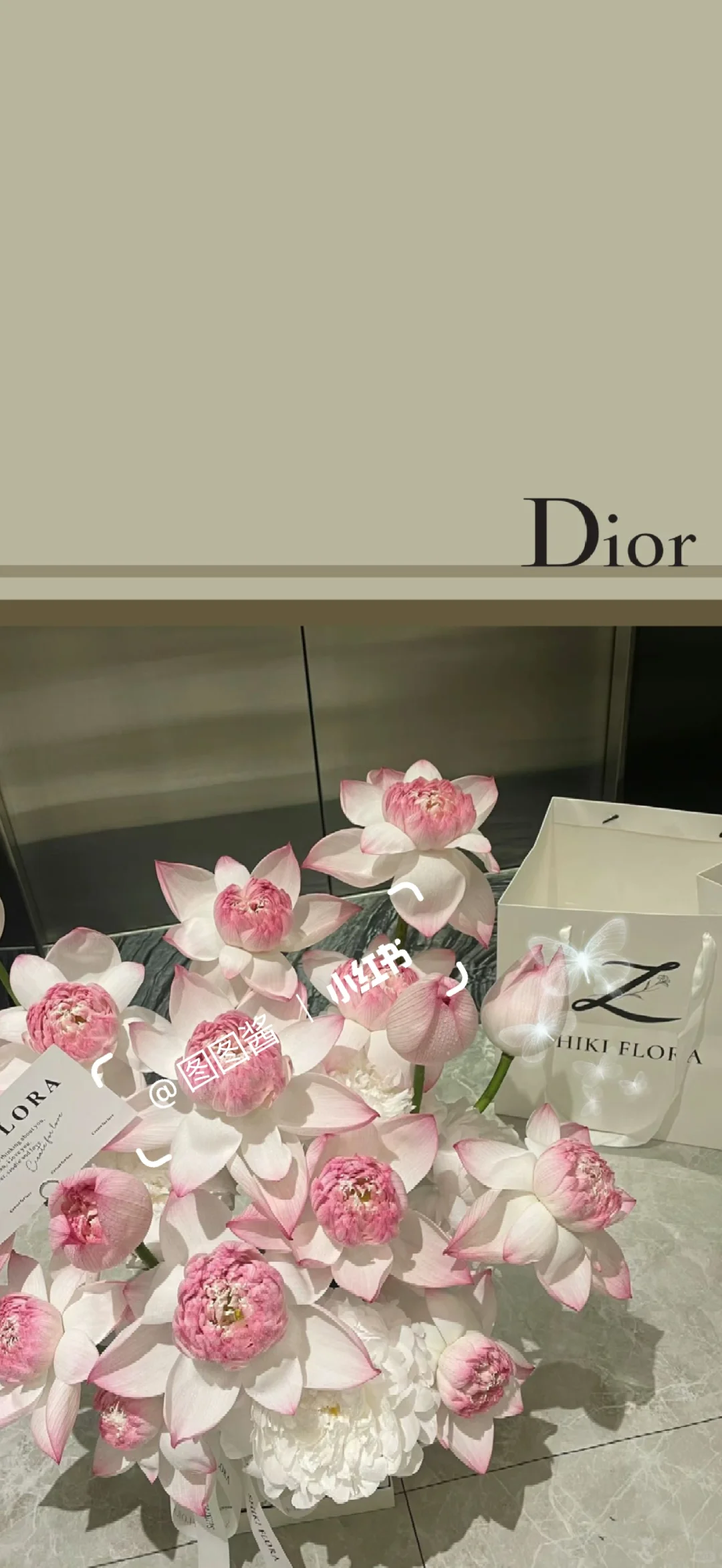 夏日浪漫从荷花开始｜Dior 荷花?手机壁纸