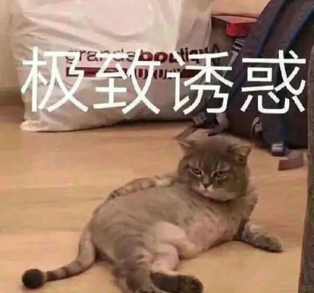 🐈🐈表情包