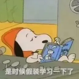 今天也是精选表情包合集?