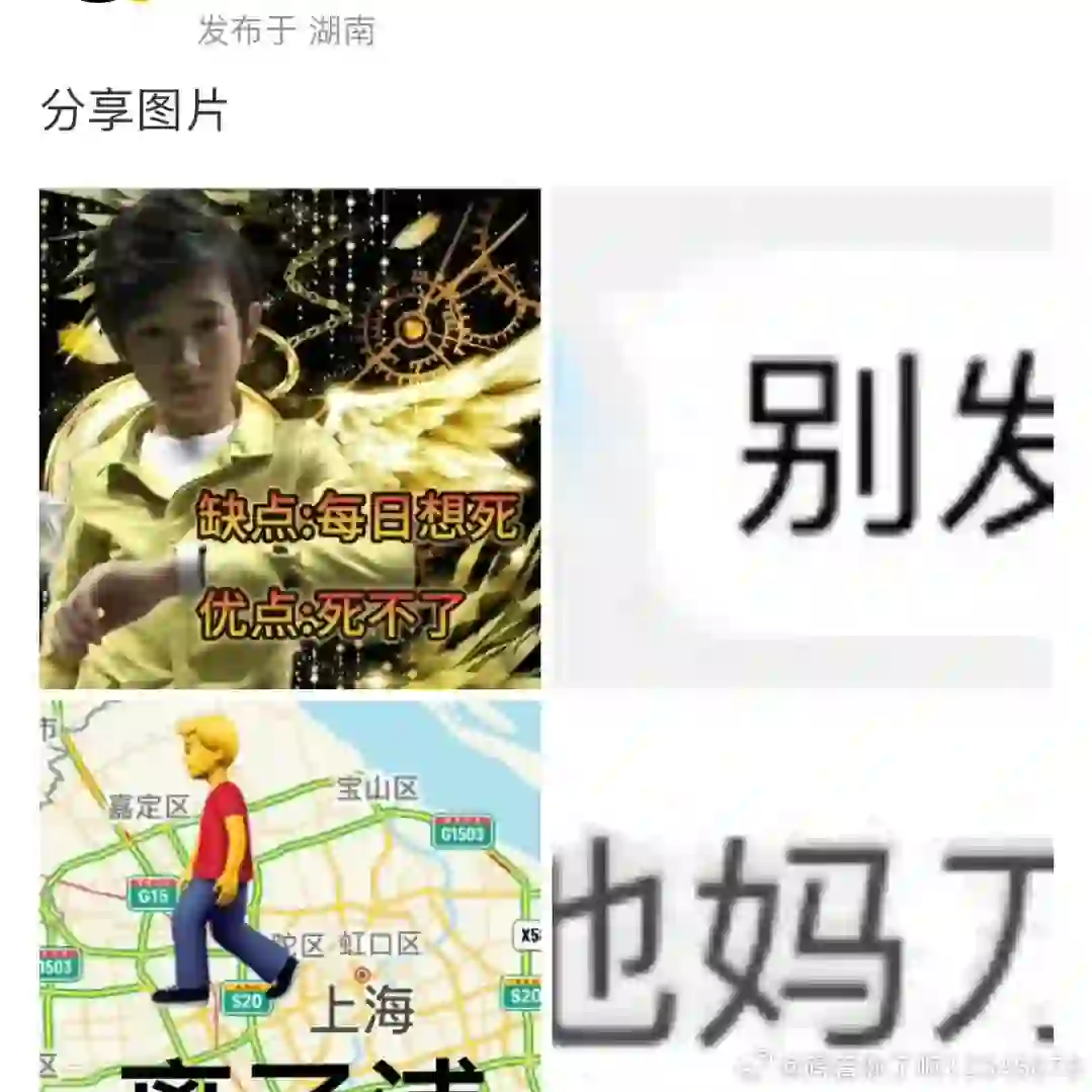 哦莫🥭stf发了亚轩表情包