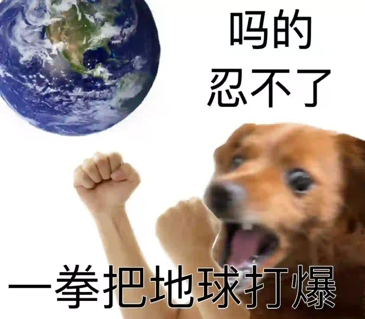 自存表情包第二弹