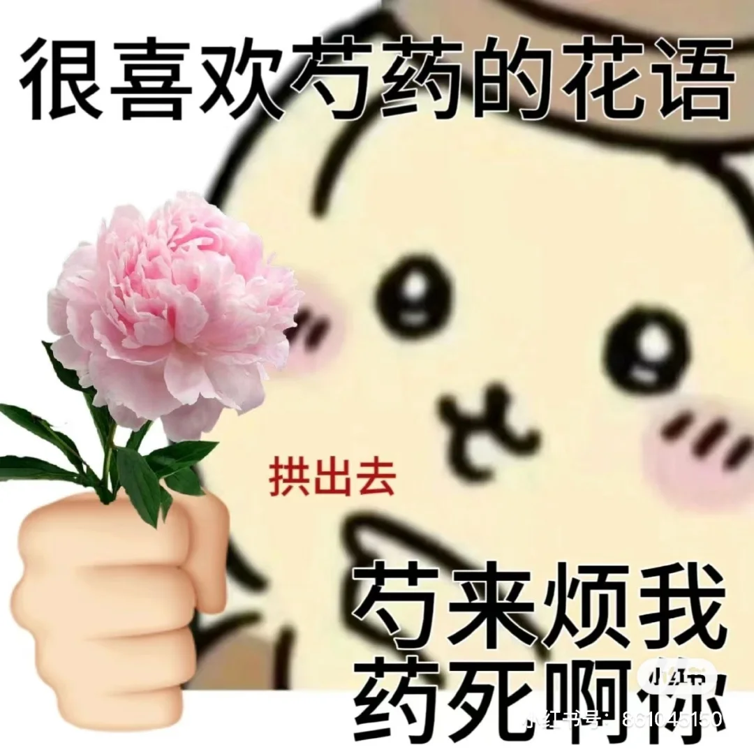 今天也是精选表情包合集?