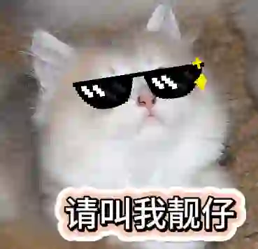 谁家的猫主子还没有表情包～一起来分享