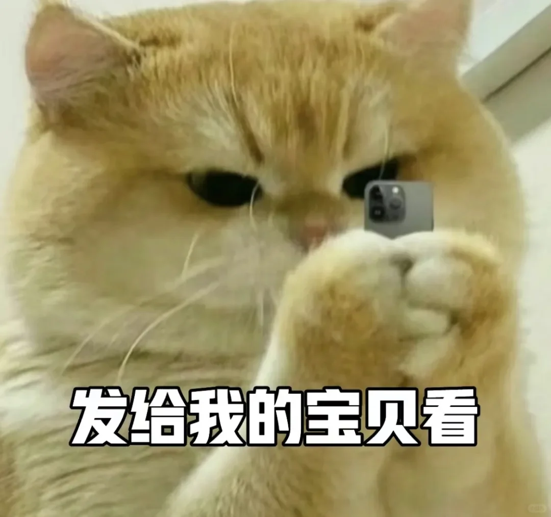 古灵精怪小猫表情包，闪亮登场