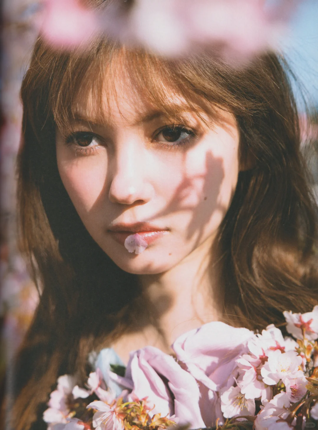 村上爱花1st写真集「愛でる愛花」访谈