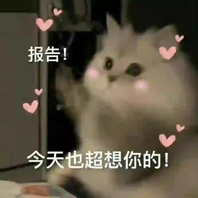 今天也是超级想你的~猫咪表情包