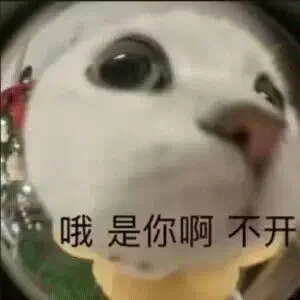 今天也是超级想你的~猫咪表情包