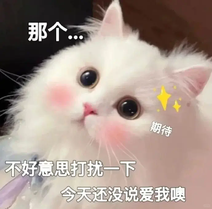 看完知道艾特谁吧~发给对象的猫咪表情包