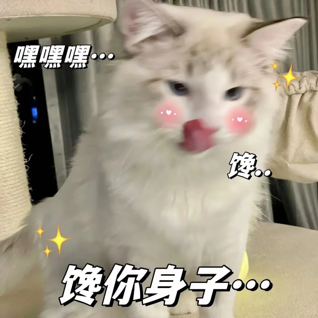 今天也是超级想你的~猫咪表情包