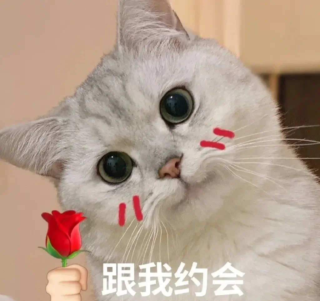 看完知道艾特谁吧~发给对象的猫咪表情包