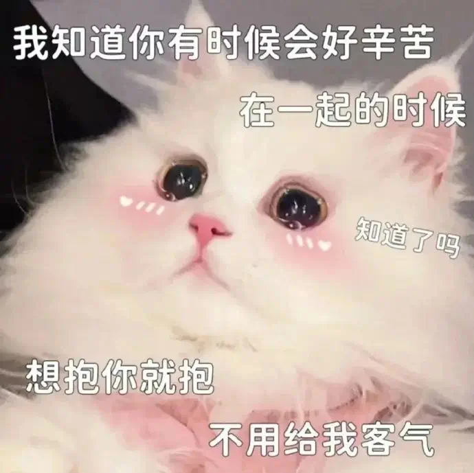 看完知道艾特谁吧~发给对象的猫咪表情包