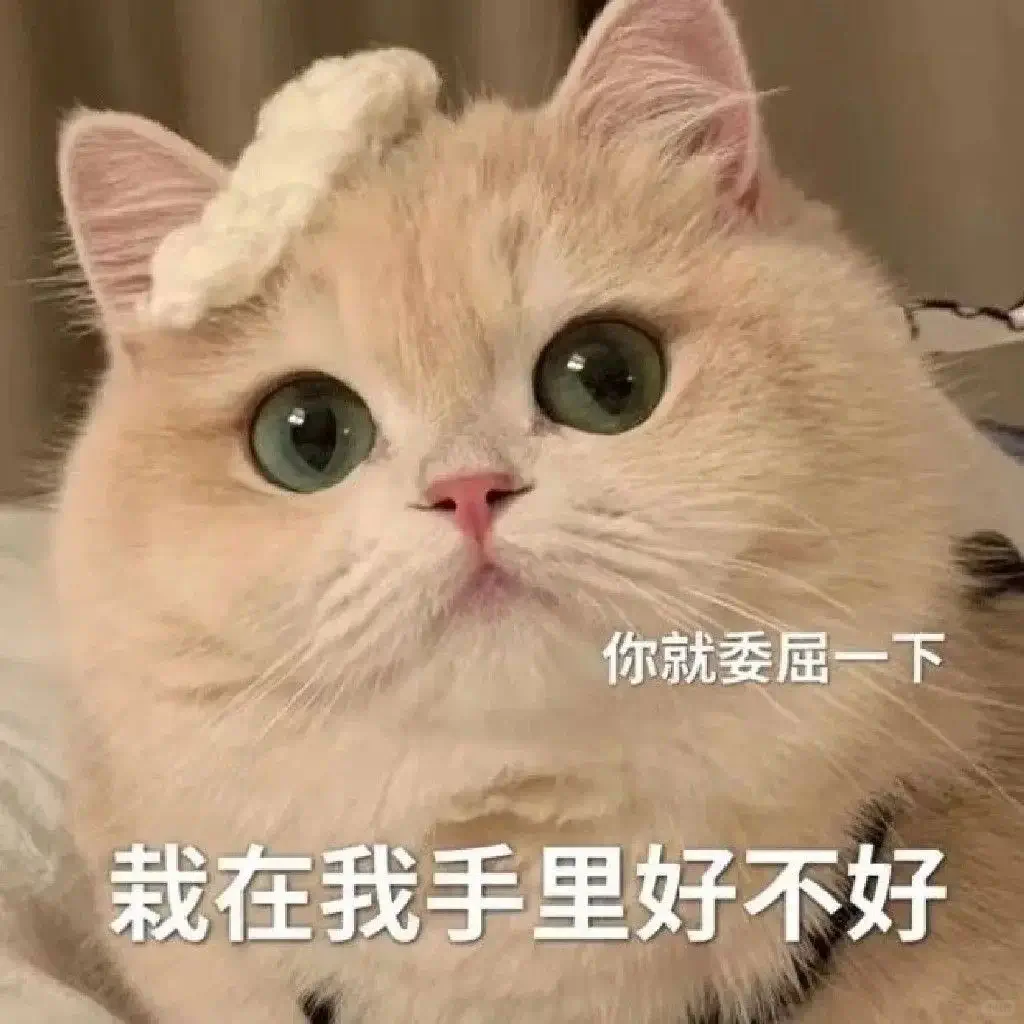 看完知道艾特谁吧~发给对象的猫咪表情包