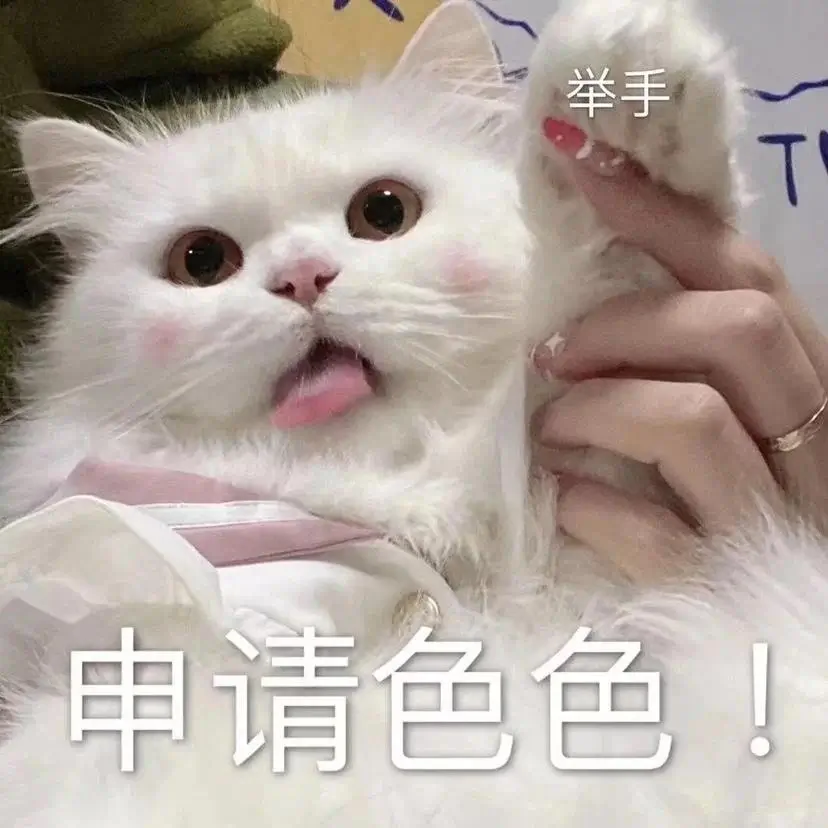 今天也是超级想你的~猫咪表情包