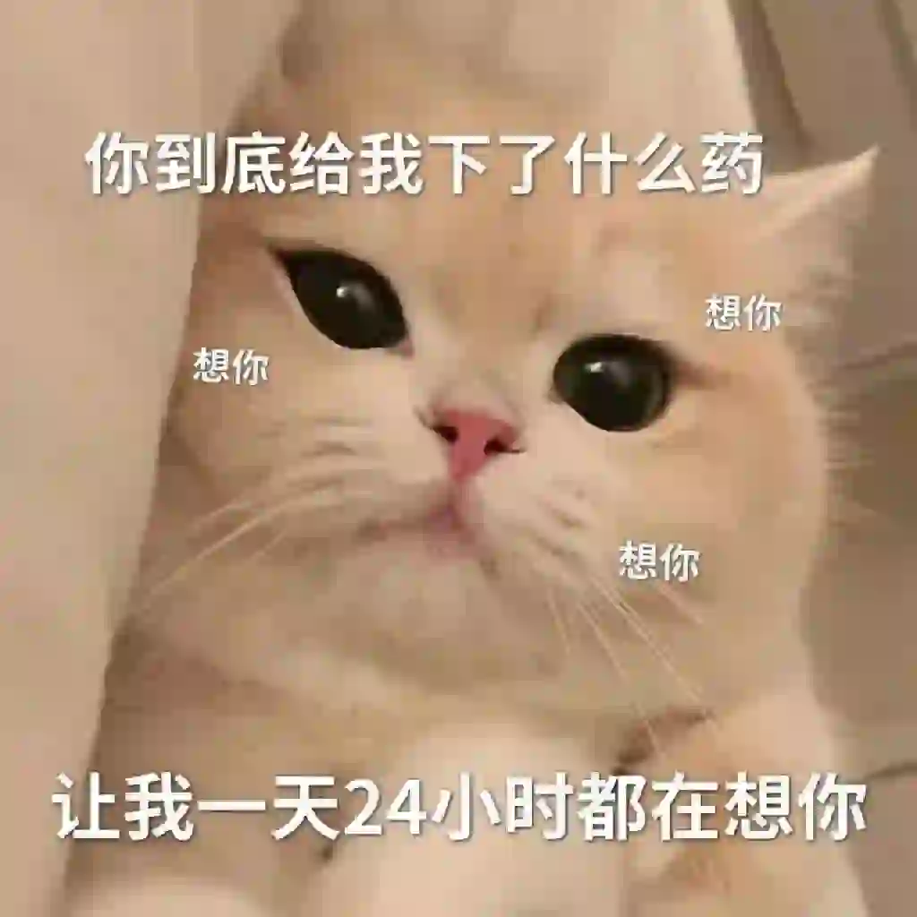 看完知道艾特谁吧~发给对象的猫咪表情包