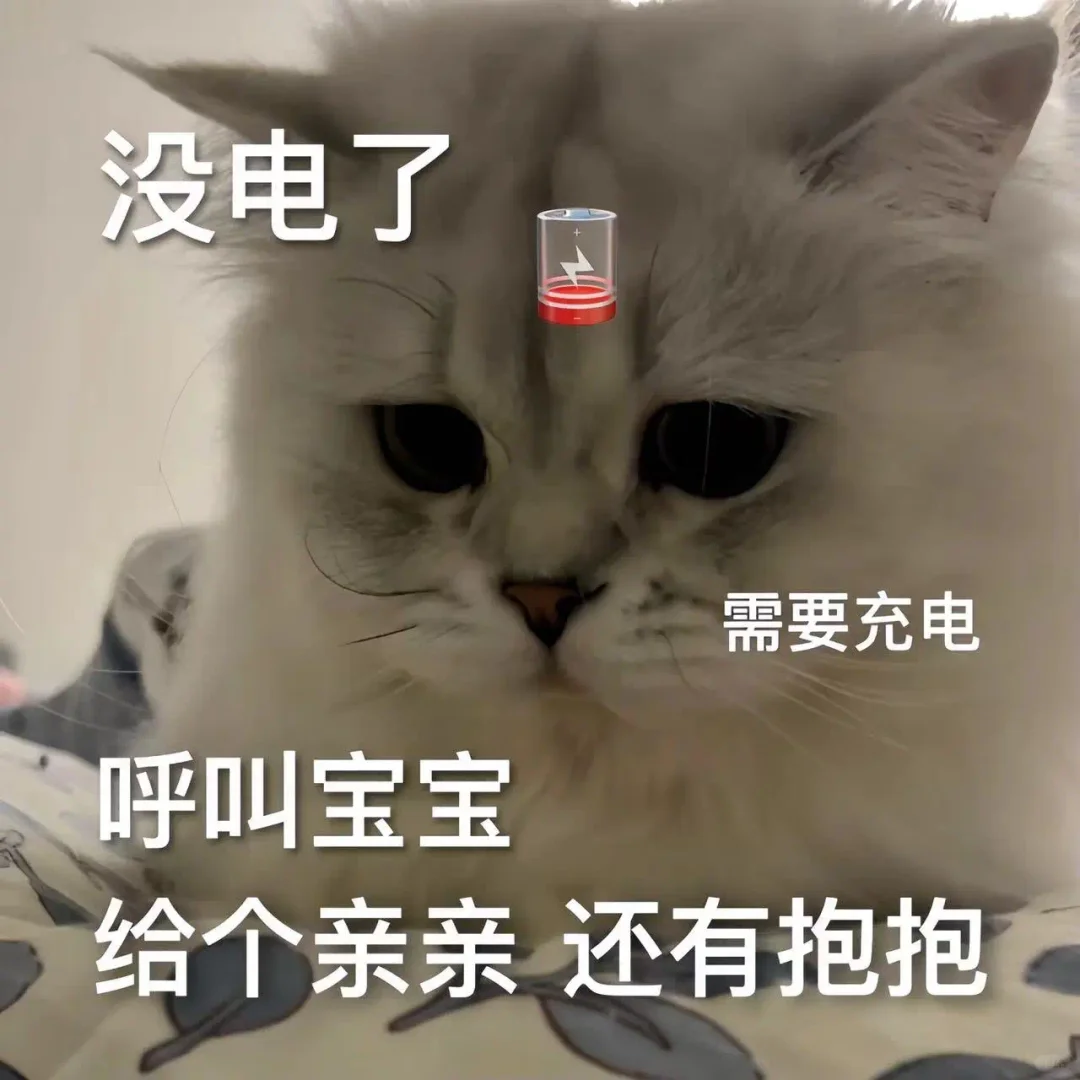 今天也是超级想你的~猫咪表情包