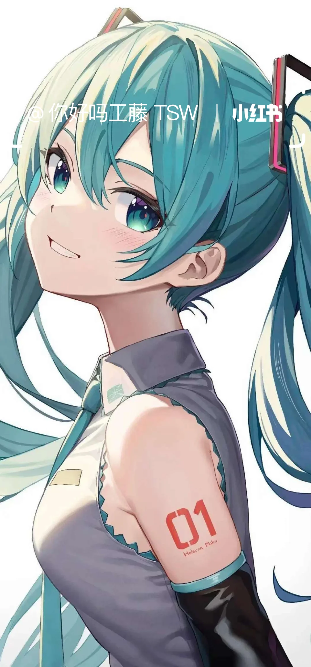 初音未来 精选壁纸