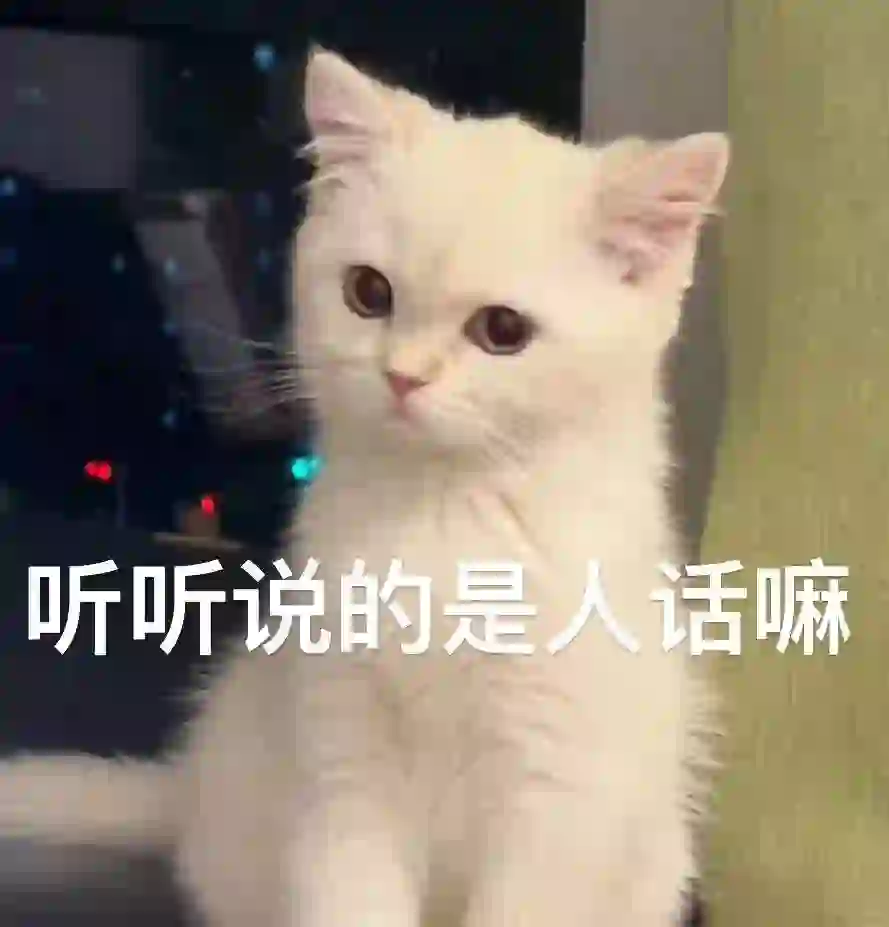 有人喜欢猫猫表情包吗？