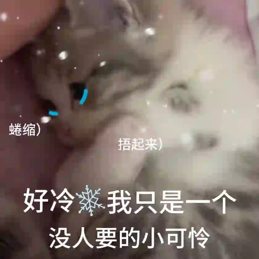 委屈小猫表情包，@crush来接你!