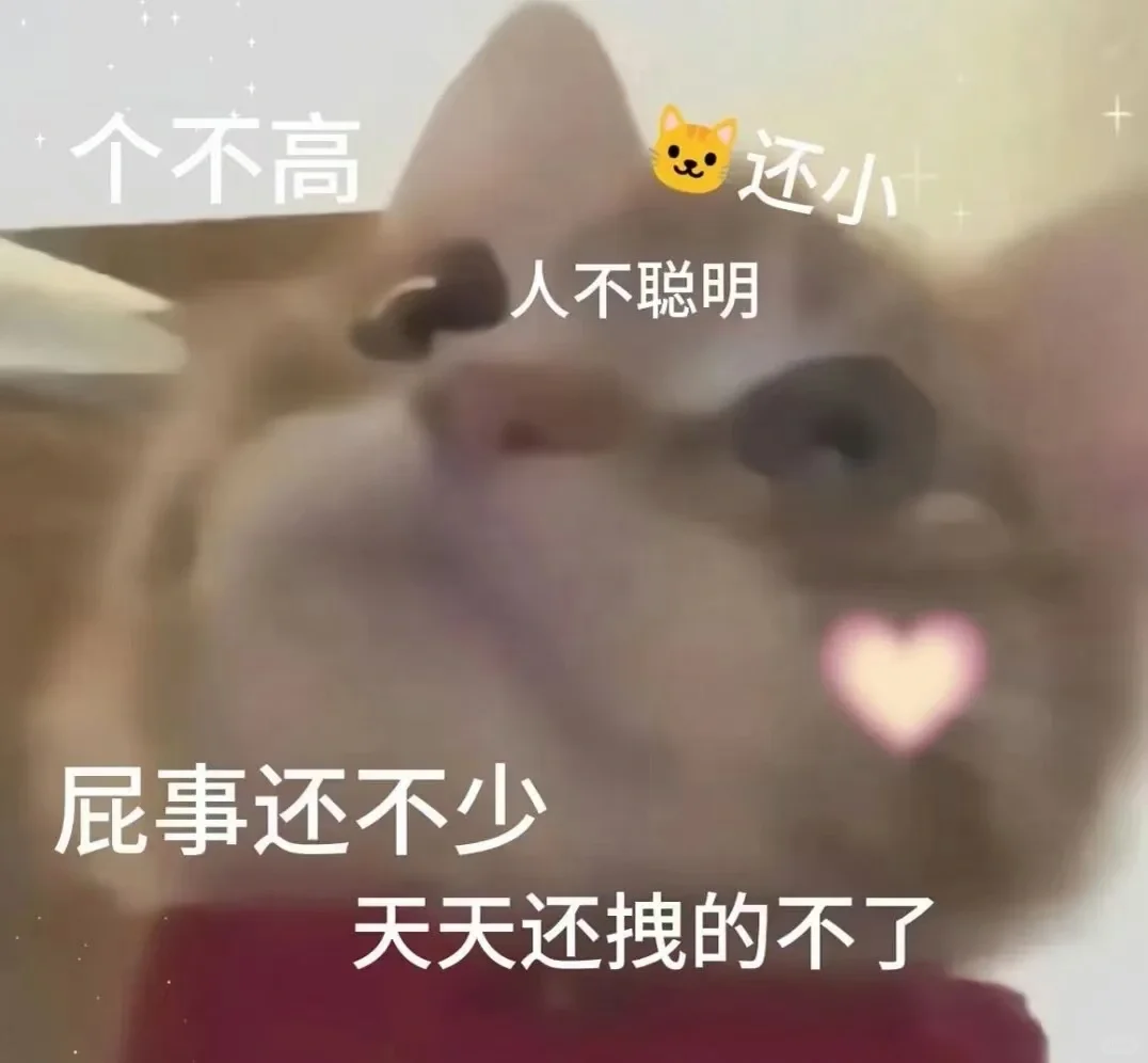 男朋友斗图表情包get🐱